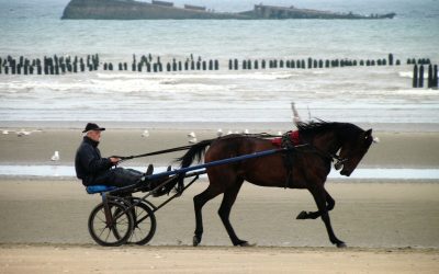 Vacances dans la manche, que voir ?